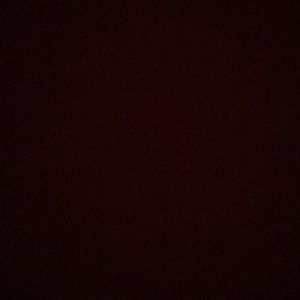 Meet your Posher, Delanie